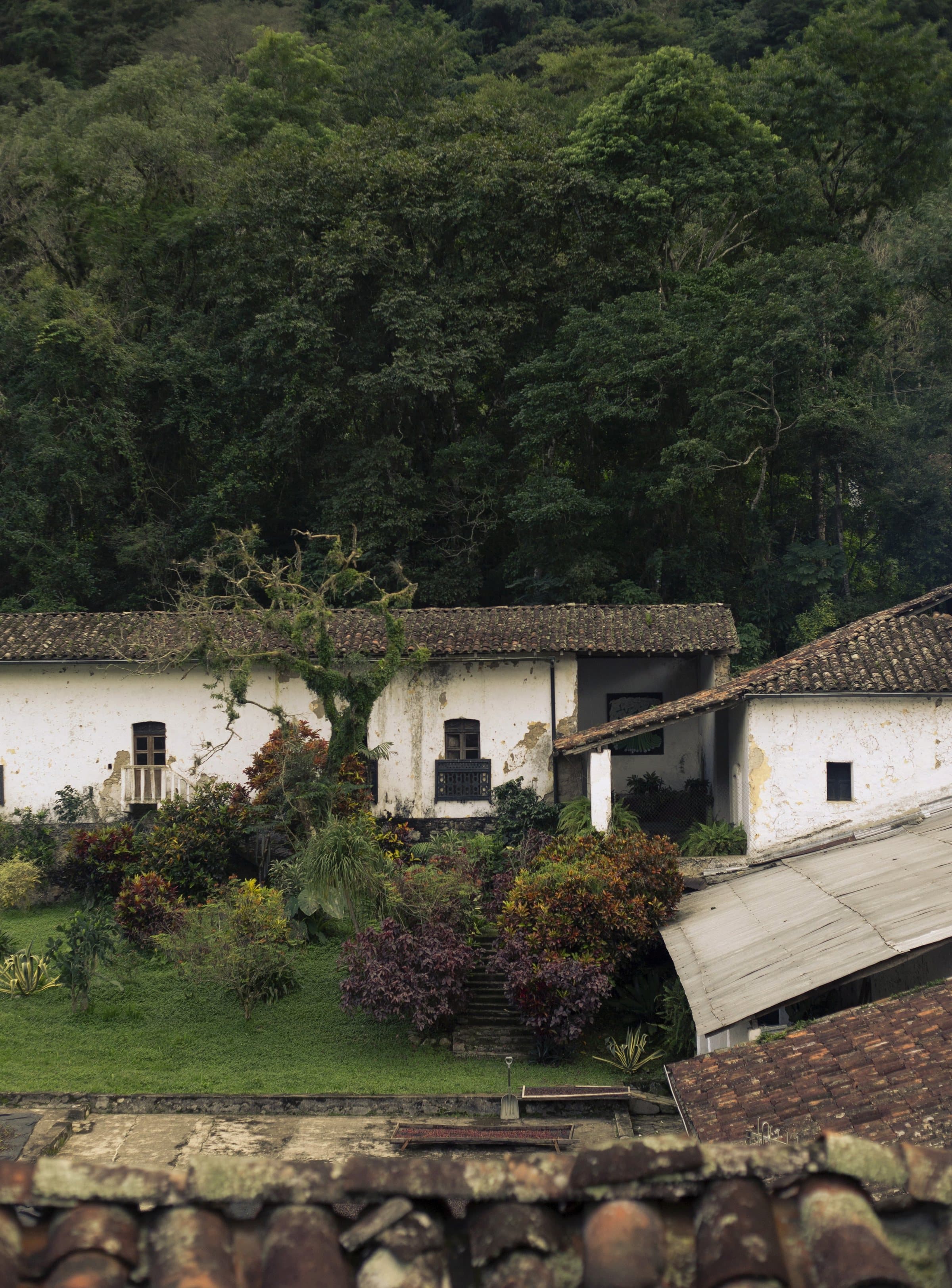 Los edificios encalados de la hacienda de Coyametla entre la vegetación de la ladera.